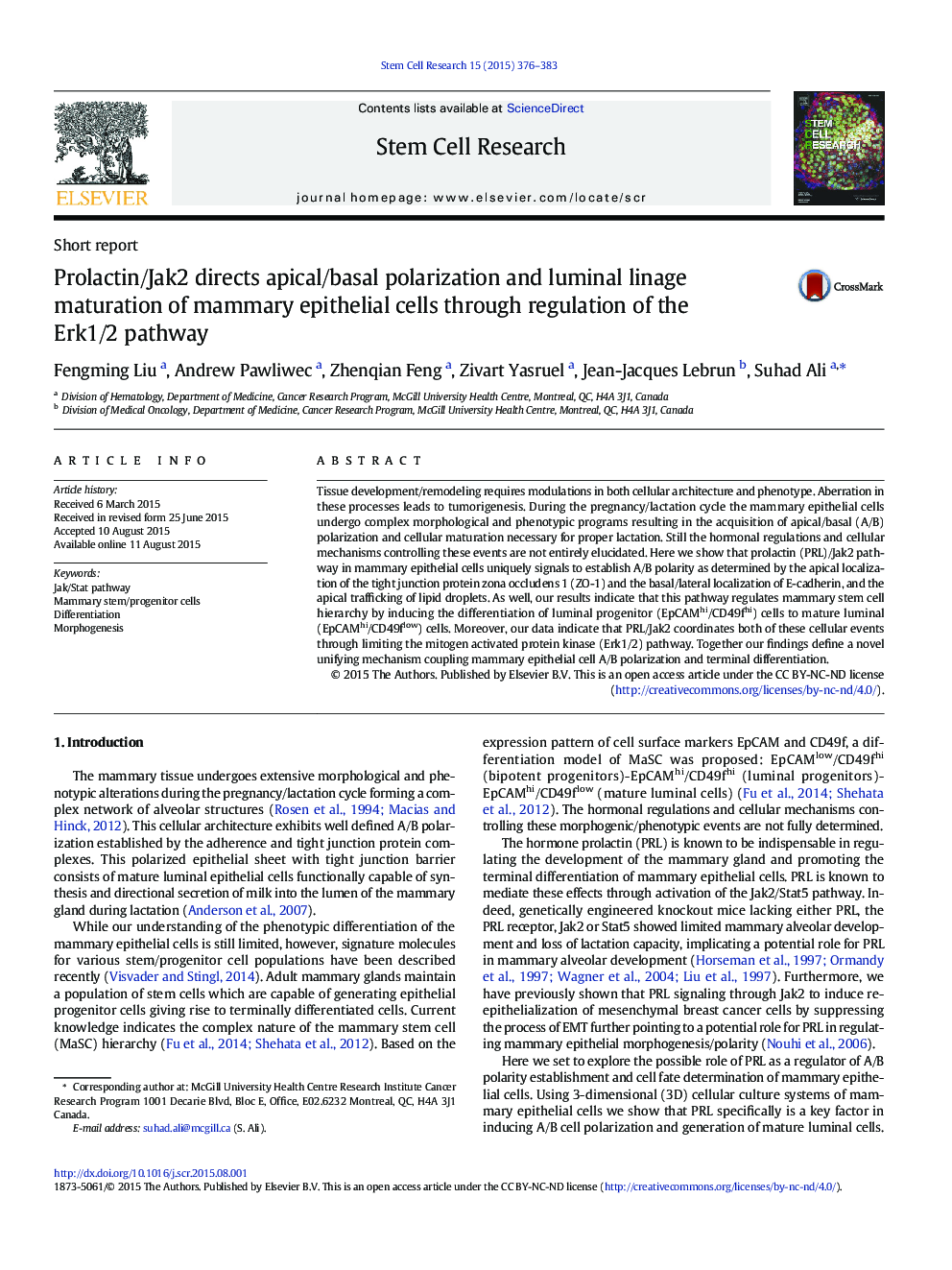 Prolactin/Jak2 directs apical/basal polarization and luminal linage maturation of mammary epithelial cells through regulation of the Erk1/2 pathway