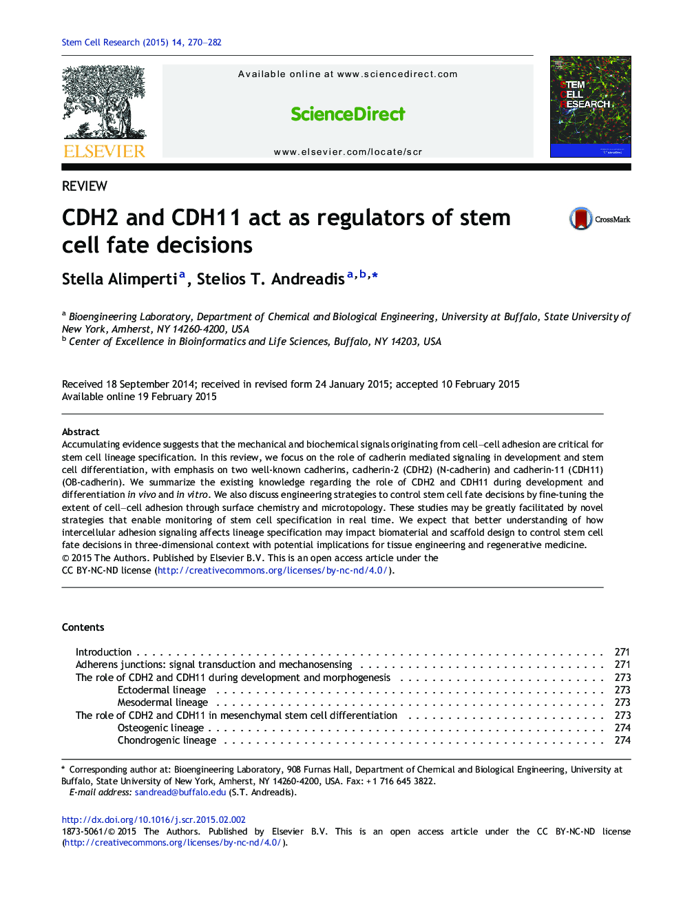 CDH2 and CDH11 act as regulators of stem cell fate decisions
