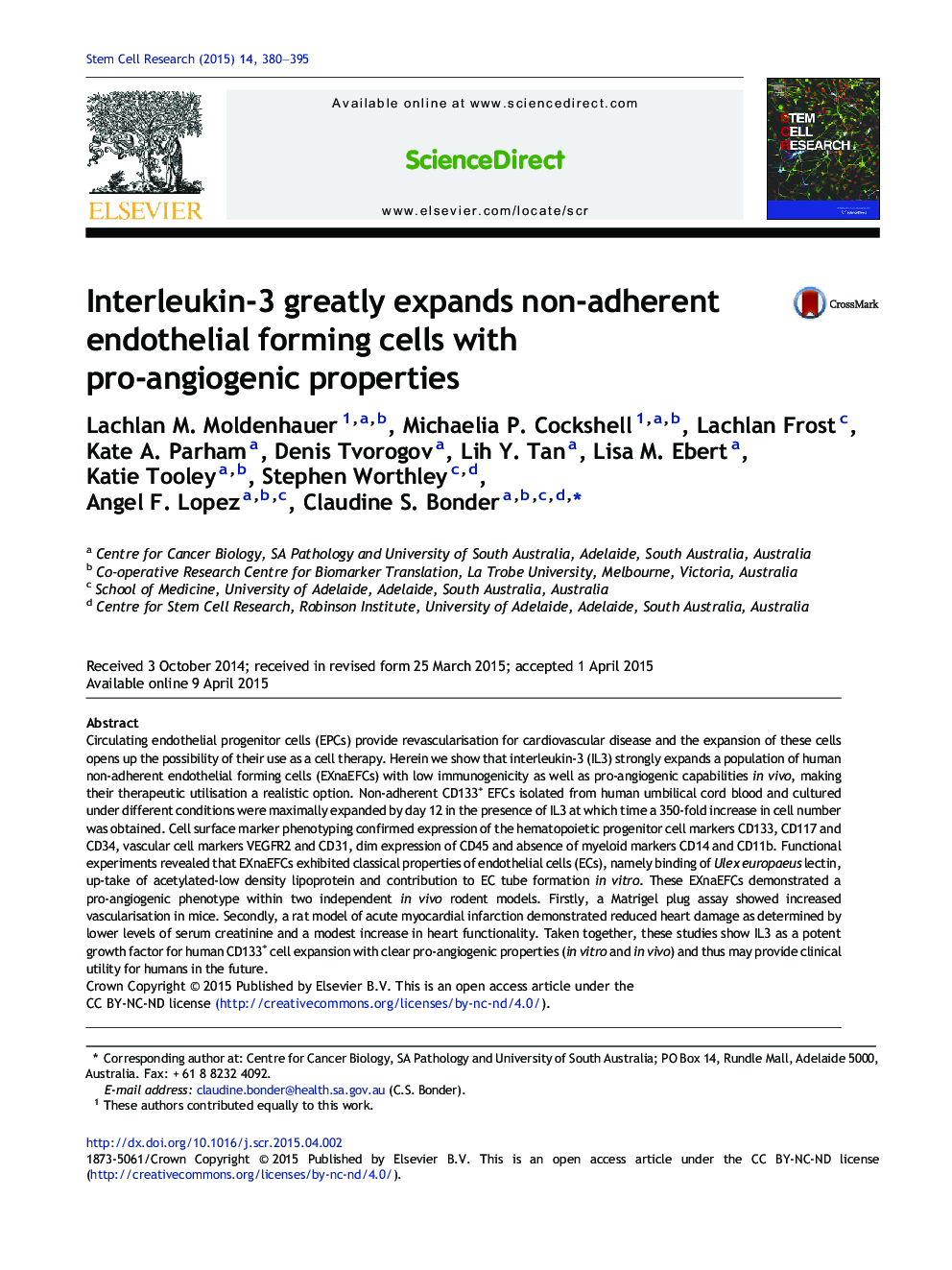 Interleukin-3 greatly expands non-adherent endothelial forming cells with pro-angiogenic properties