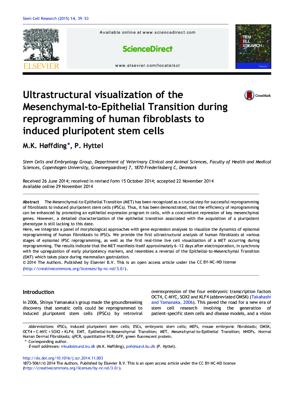 Ultrastructural visualization of the Mesenchymal-to-Epithelial Transition during reprogramming of human fibroblasts to induced pluripotent stem cells