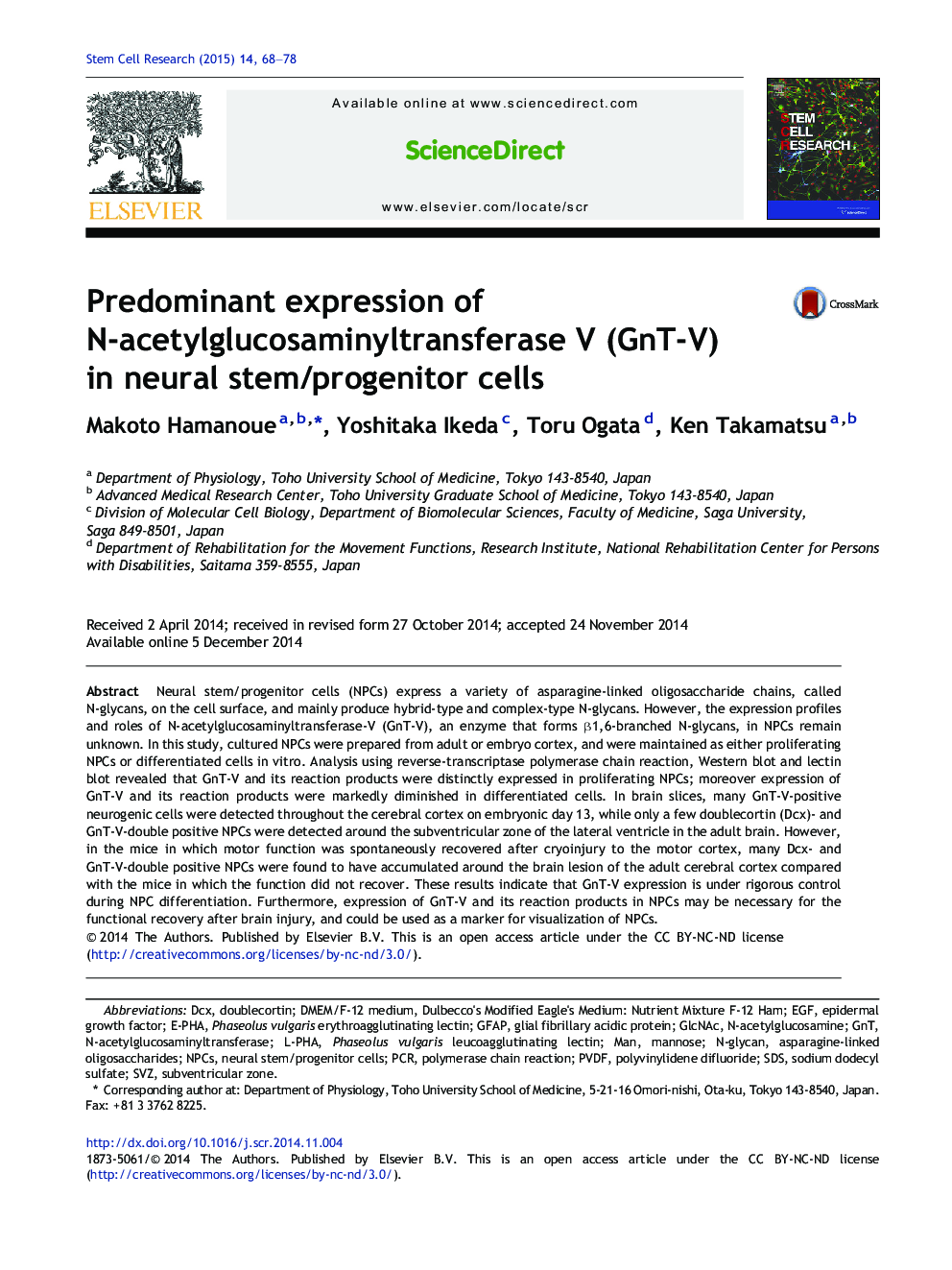Predominant expression of N-acetylglucosaminyltransferase V (GnT-V) in neural stem/progenitor cells