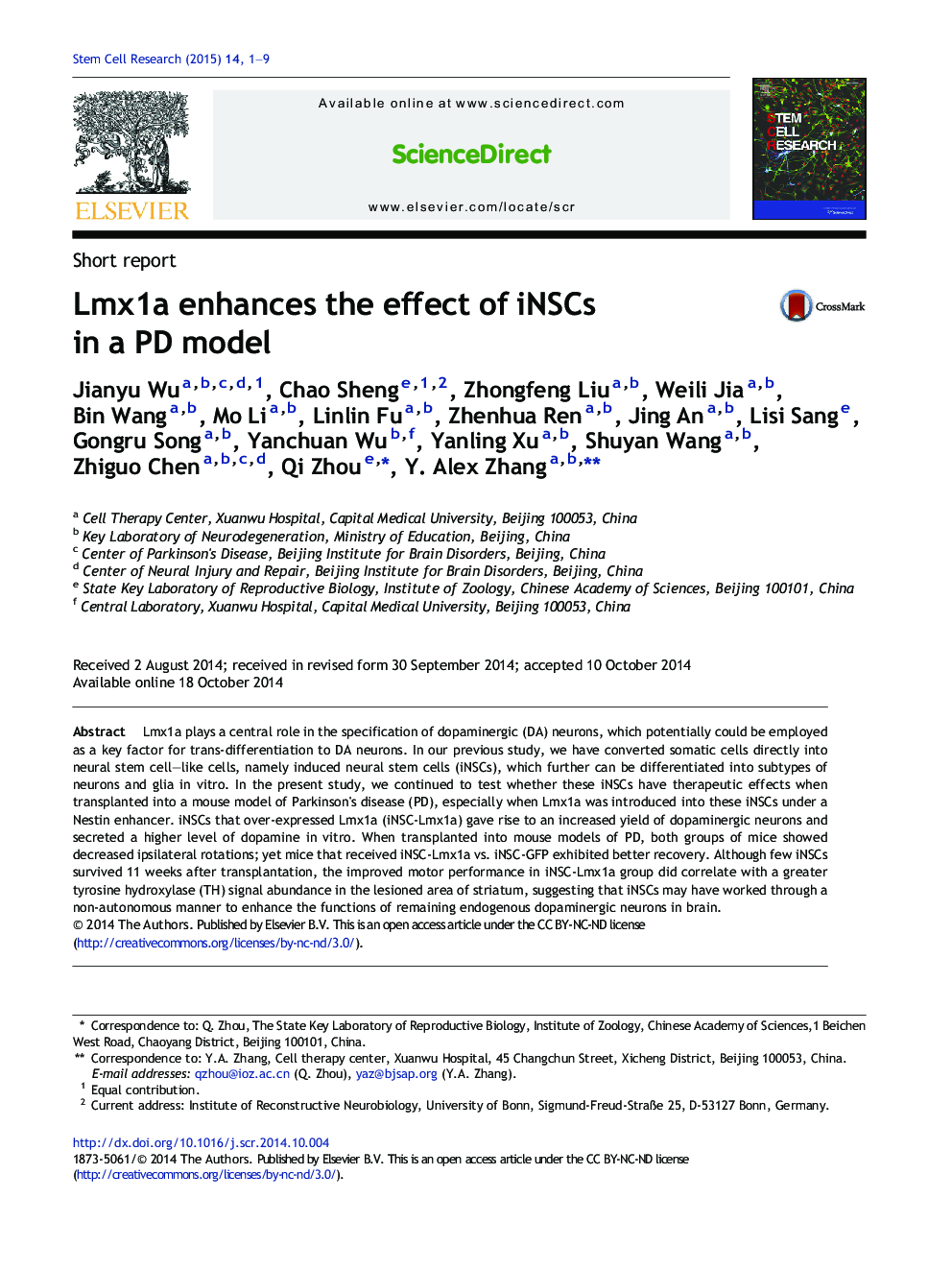 Lmx1a enhances the effect of iNSCs in a PD model