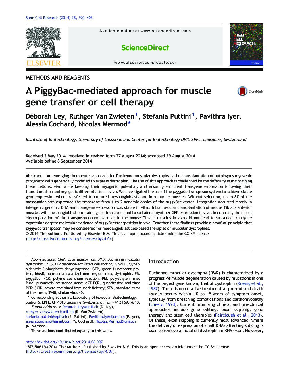 A PiggyBac-mediated approach for muscle gene transfer or cell therapy
