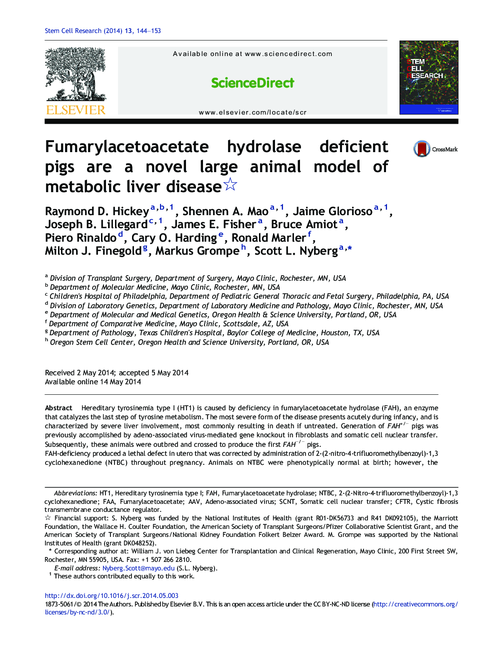 Fumarylacetoacetate hydrolase deficient pigs are a novel large animal model of metabolic liver disease 