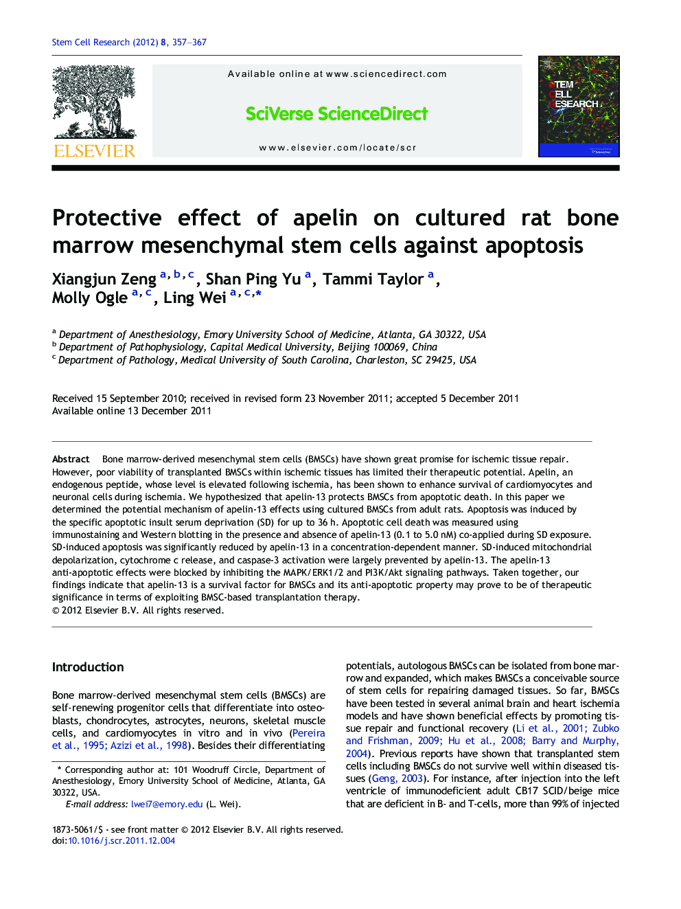 Protective effect of apelin on cultured rat bone marrow mesenchymal stem cells against apoptosis