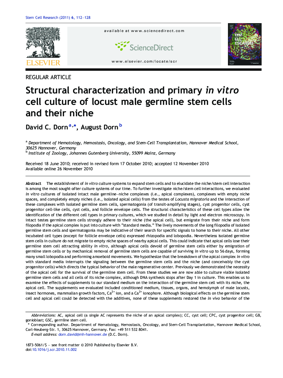 Structural characterization and primary in vitro cell culture of locust male germline stem cells and their niche