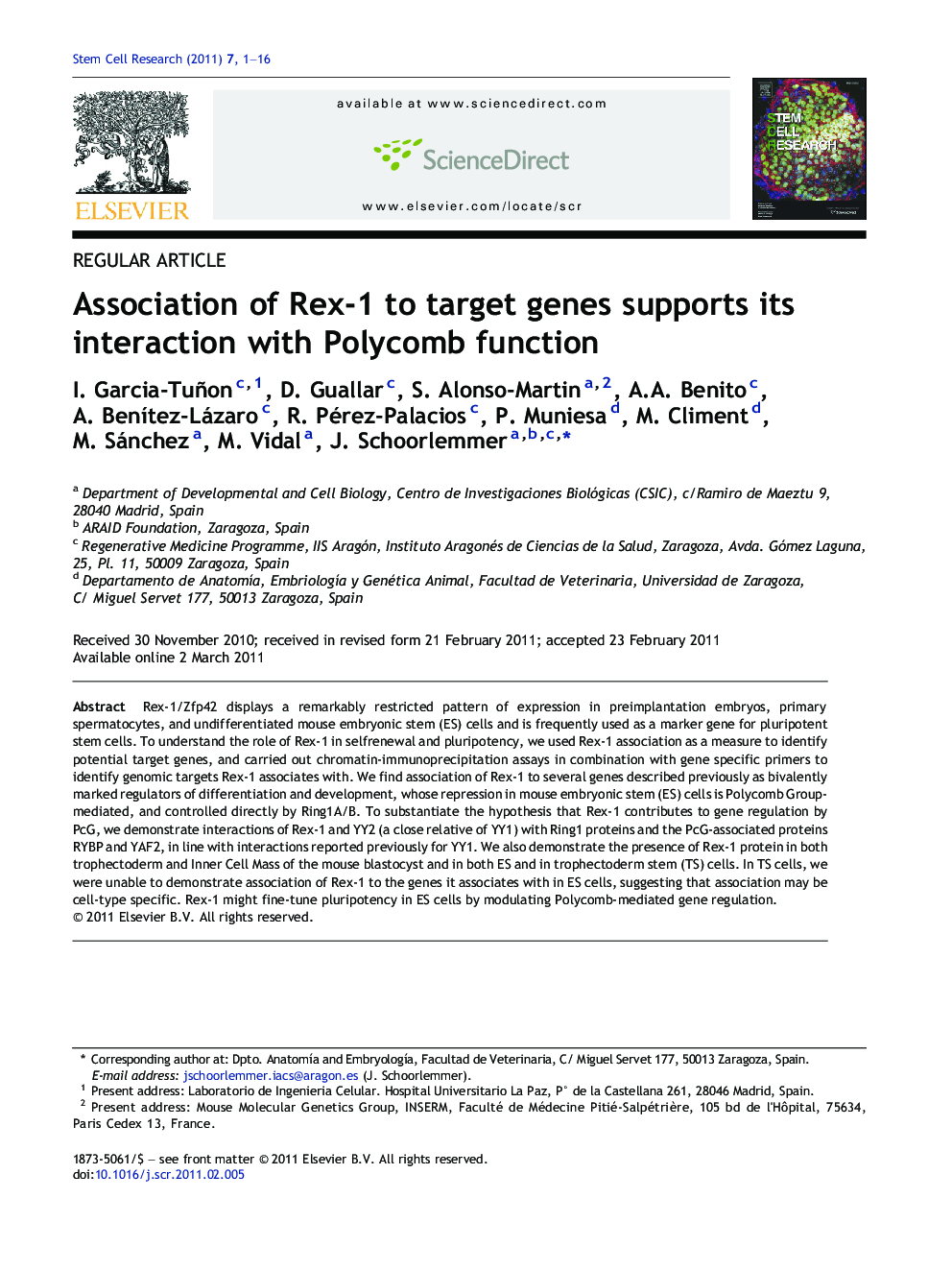 Association of Rex-1 to target genes supports its interaction with Polycomb function