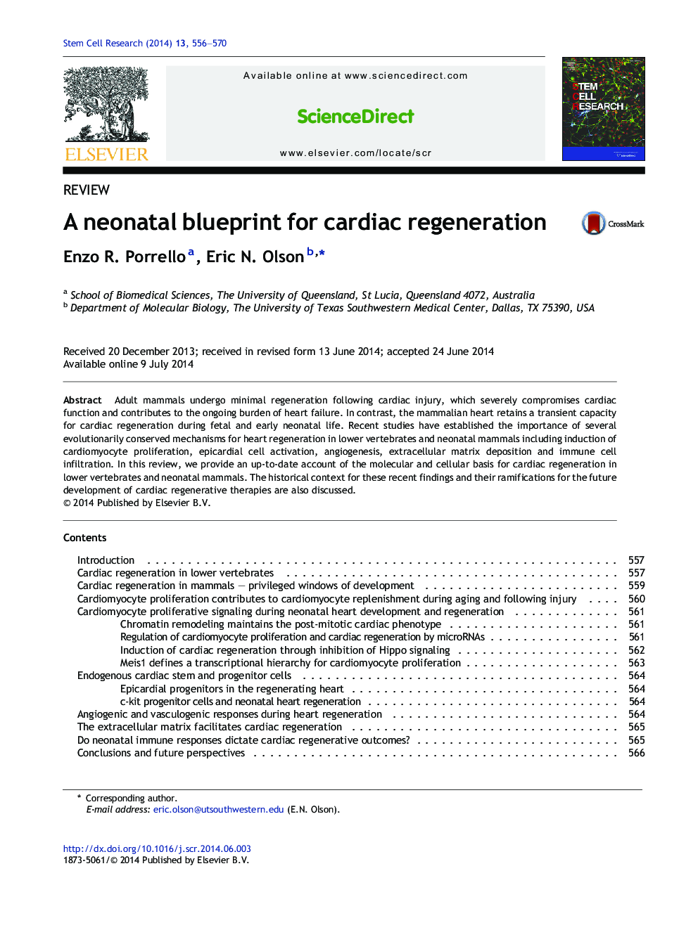 A neonatal blueprint for cardiac regeneration