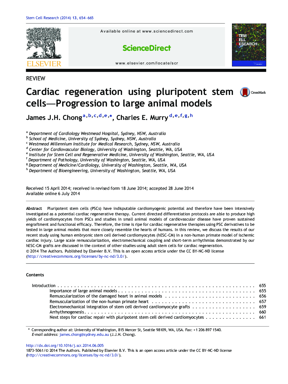 Cardiac regeneration using pluripotent stem cells—Progression to large animal models