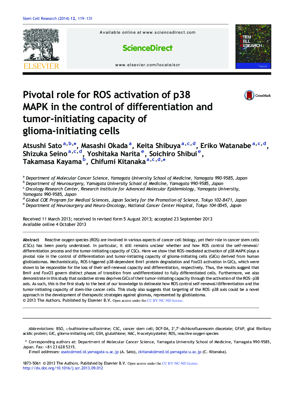 Pivotal role for ROS activation of p38 MAPK in the control of differentiation and tumor-initiating capacity of glioma-initiating cells