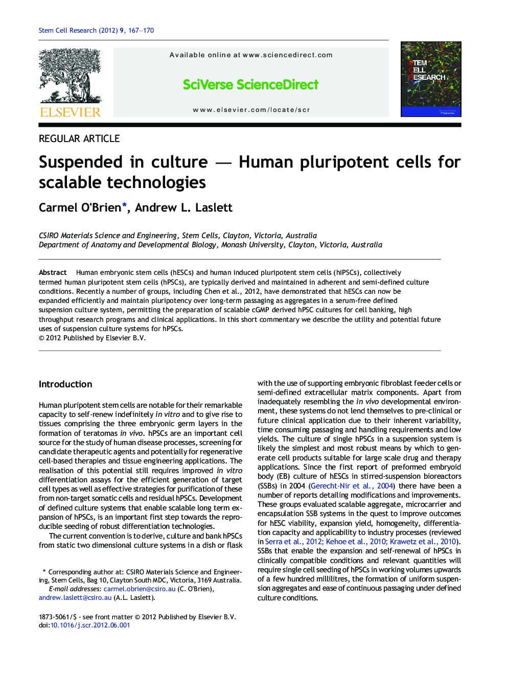 Suspended in culture — Human pluripotent cells for scalable technologies