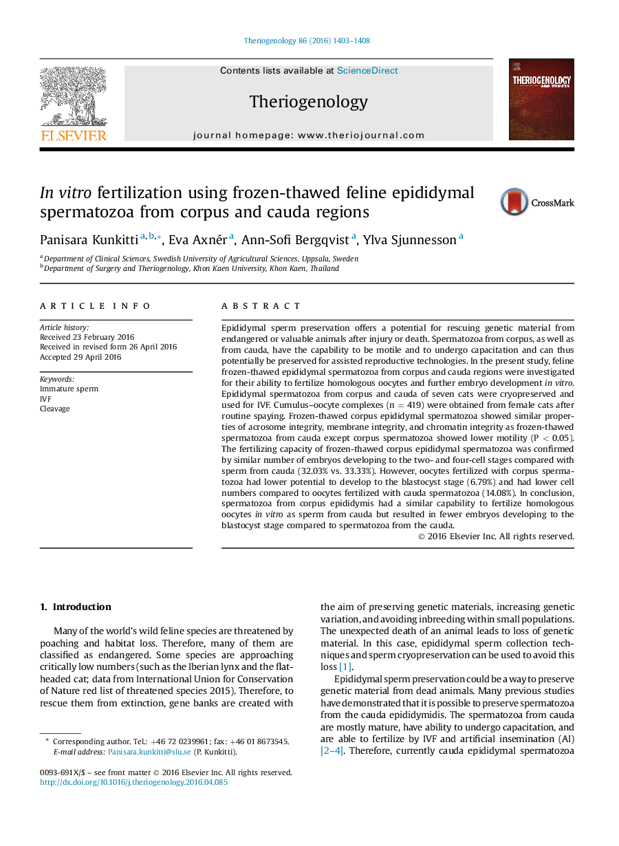 In vitro fertilization using frozen-thawed feline epididymal spermatozoa from corpus and cauda regions