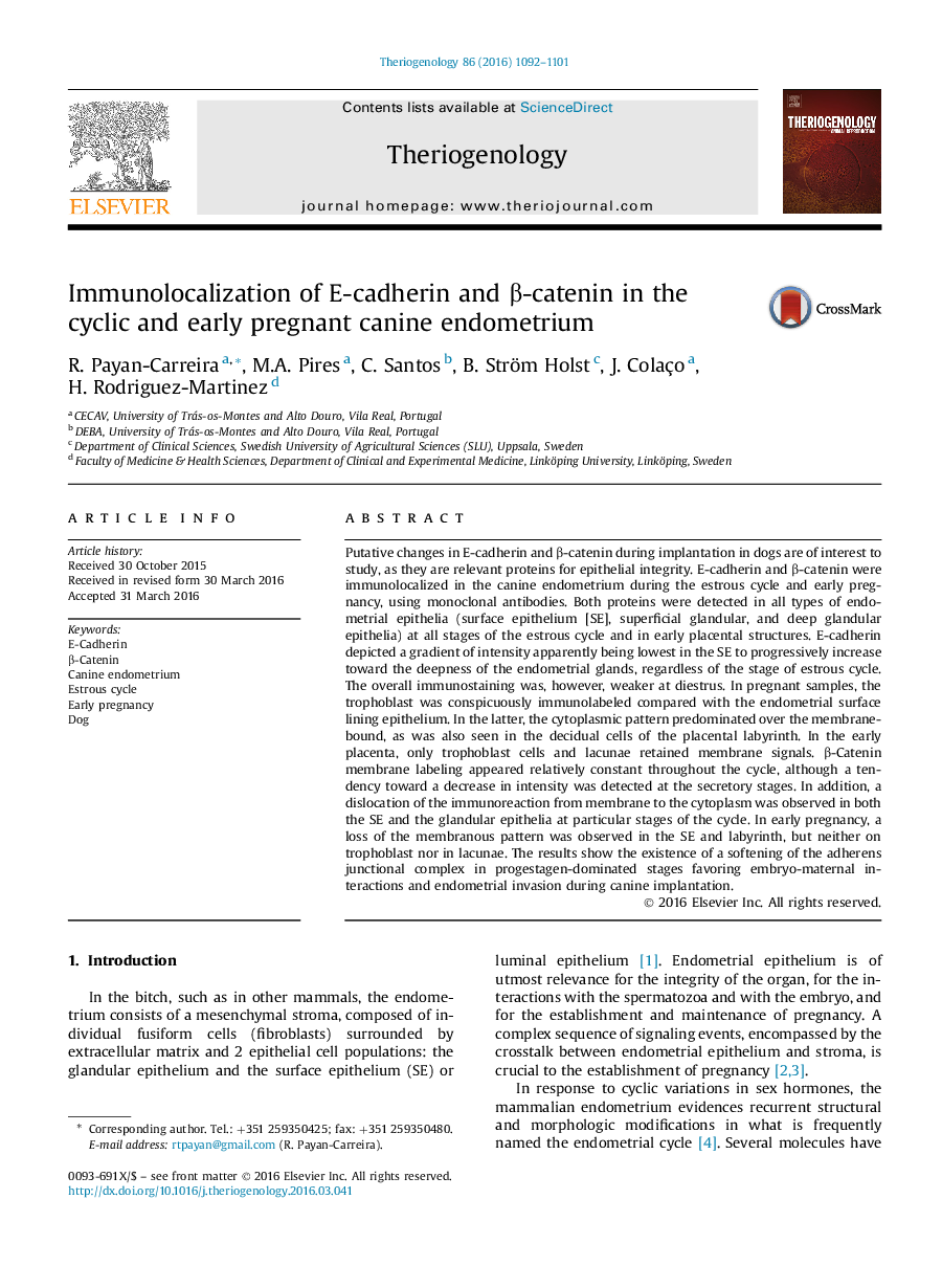 Immunolocalization از E-cadherin و β-catenin در آندومتر سیکلی و اولیه سگ باردار