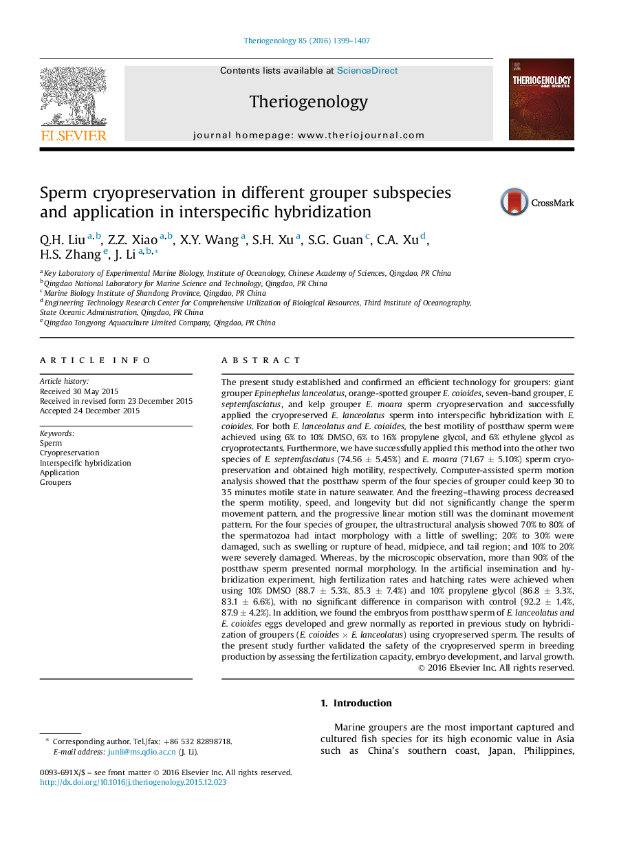 Sperm cryopreservation in different grouper subspecies and application in interspecific hybridization