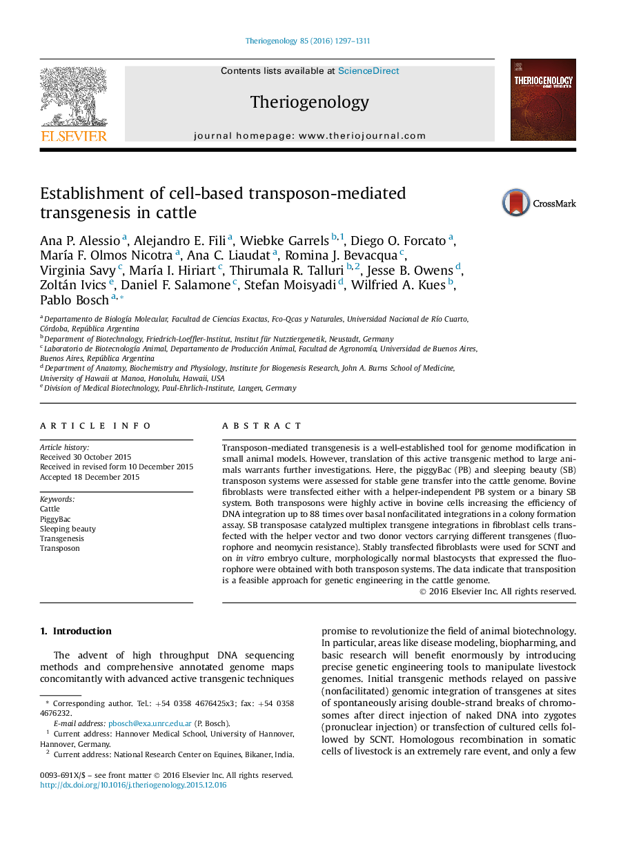 Establishment of cell-based transposon-mediated transgenesis in cattle