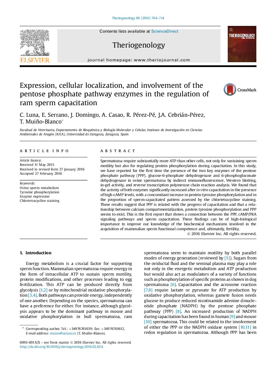 Expression, cellular localization, and involvement of the pentose phosphate pathway enzymes in the regulation of ram sperm capacitation