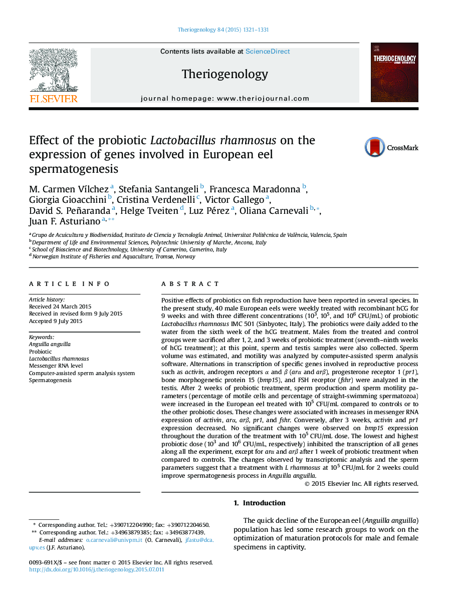 Effect of the probiotic Lactobacillus rhamnosus on the expression of genes involved in European eel spermatogenesis