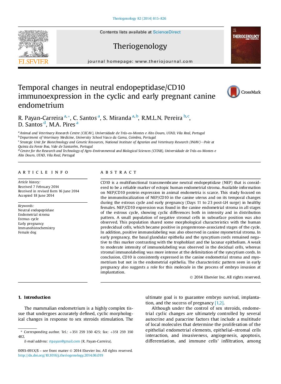 Temporal changes in neutral endopeptidase/CD10 immunoexpression in the cyclic and early pregnant canine endometrium