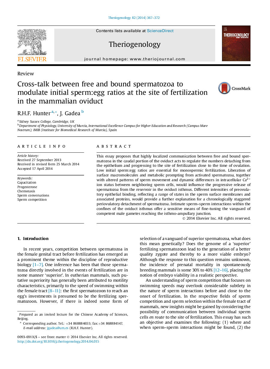 Cross-talk between free and bound spermatozoa to modulate initial sperm:egg ratios at the site of fertilization in the mammalian oviduct 