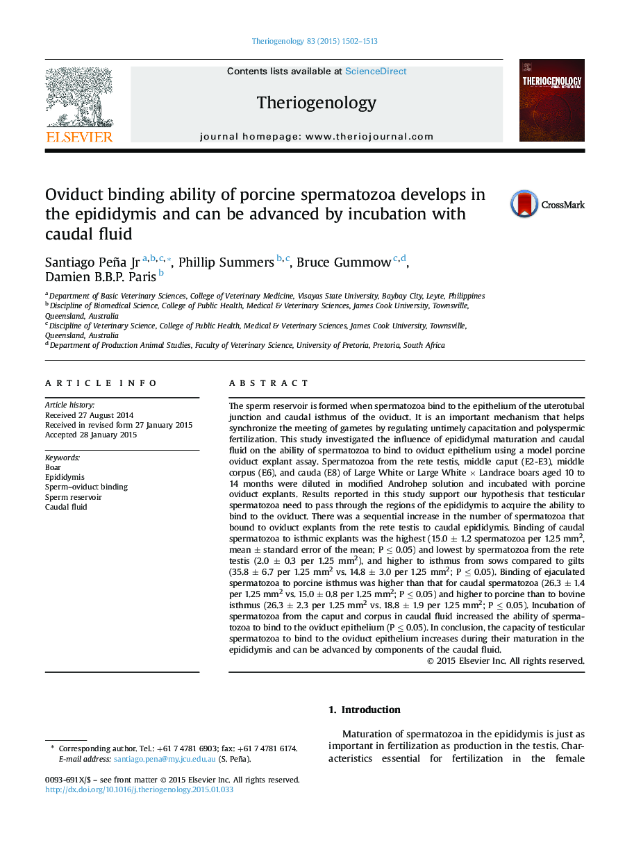 Oviduct binding ability of porcine spermatozoa develops in the epididymis and can be advanced by incubation with caudal fluid