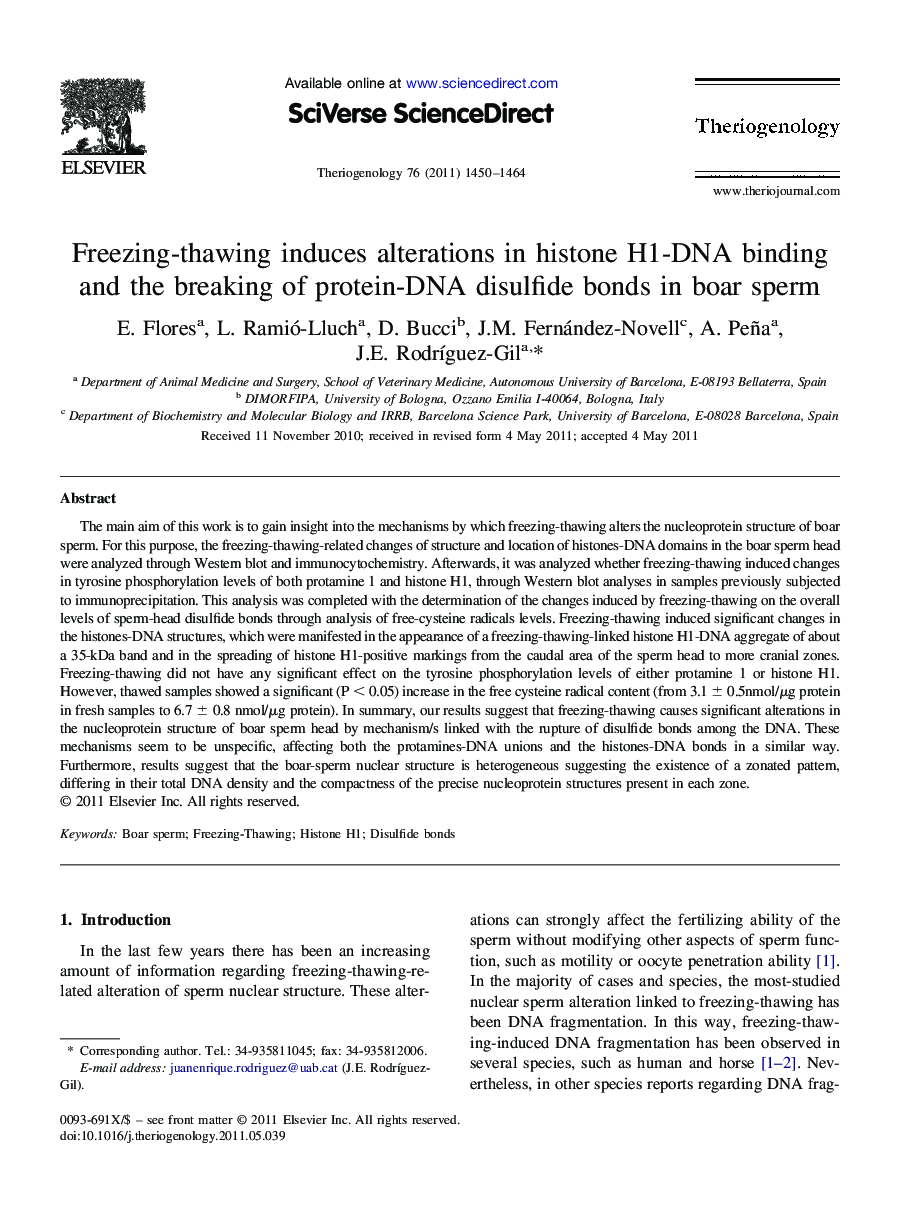 Freezing-thawing induces alterations in histone H1-DNA binding and the breaking of protein-DNA disulfide bonds in boar sperm