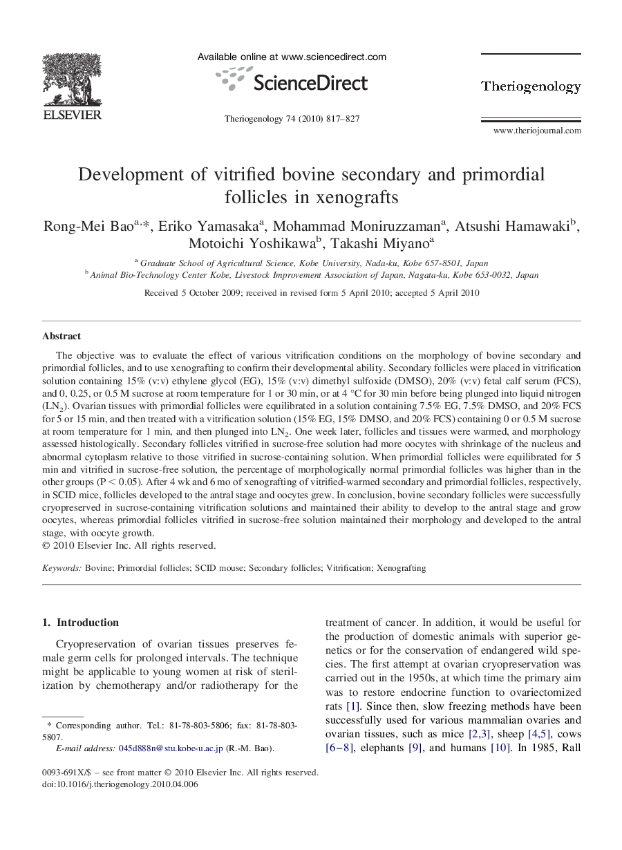 Development of vitrified bovine secondary and primordial follicles in xenografts