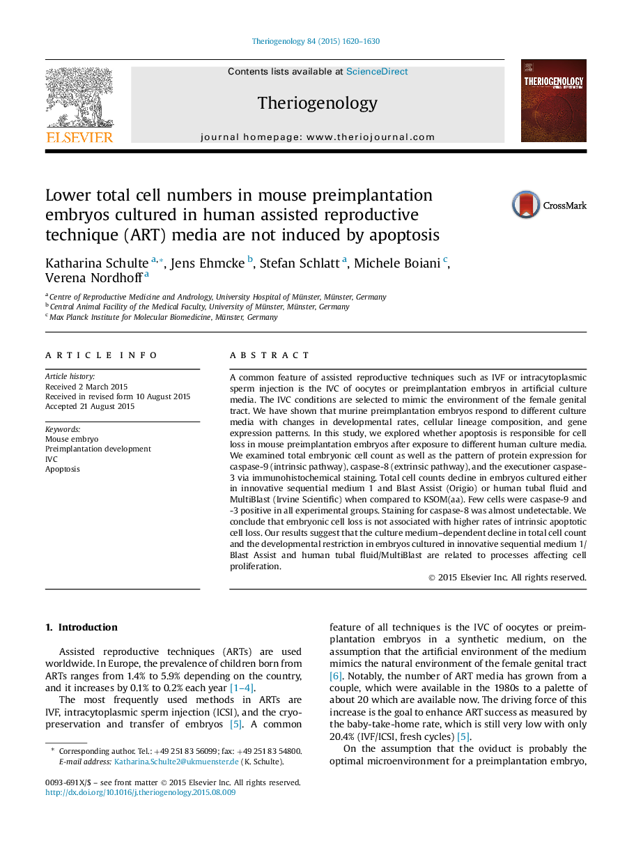 Lower total cell numbers in mouse preimplantation embryos cultured in human assisted reproductive technique (ART) media are not induced by apoptosis