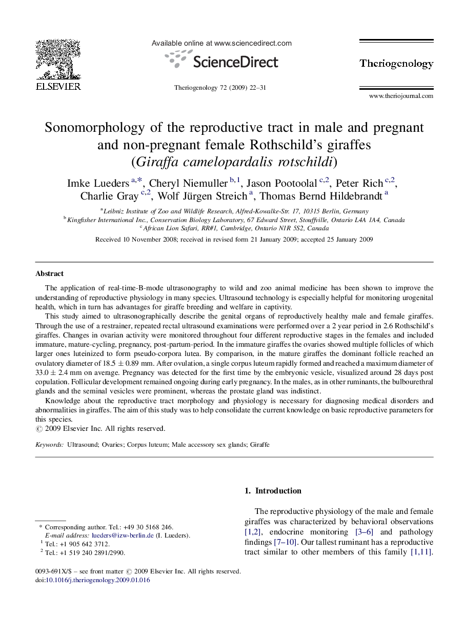 Sonomorphology of the reproductive tract in male and pregnant and non-pregnant female Rothschild's giraffes (Giraffa camelopardalis rotschildi)