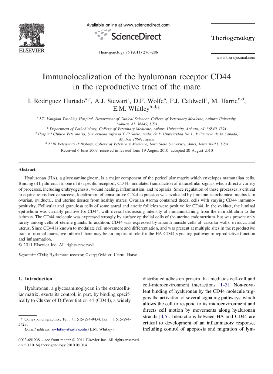 Immunolocalization of the hyaluronan receptor CD44 in the reproductive tract of the mare