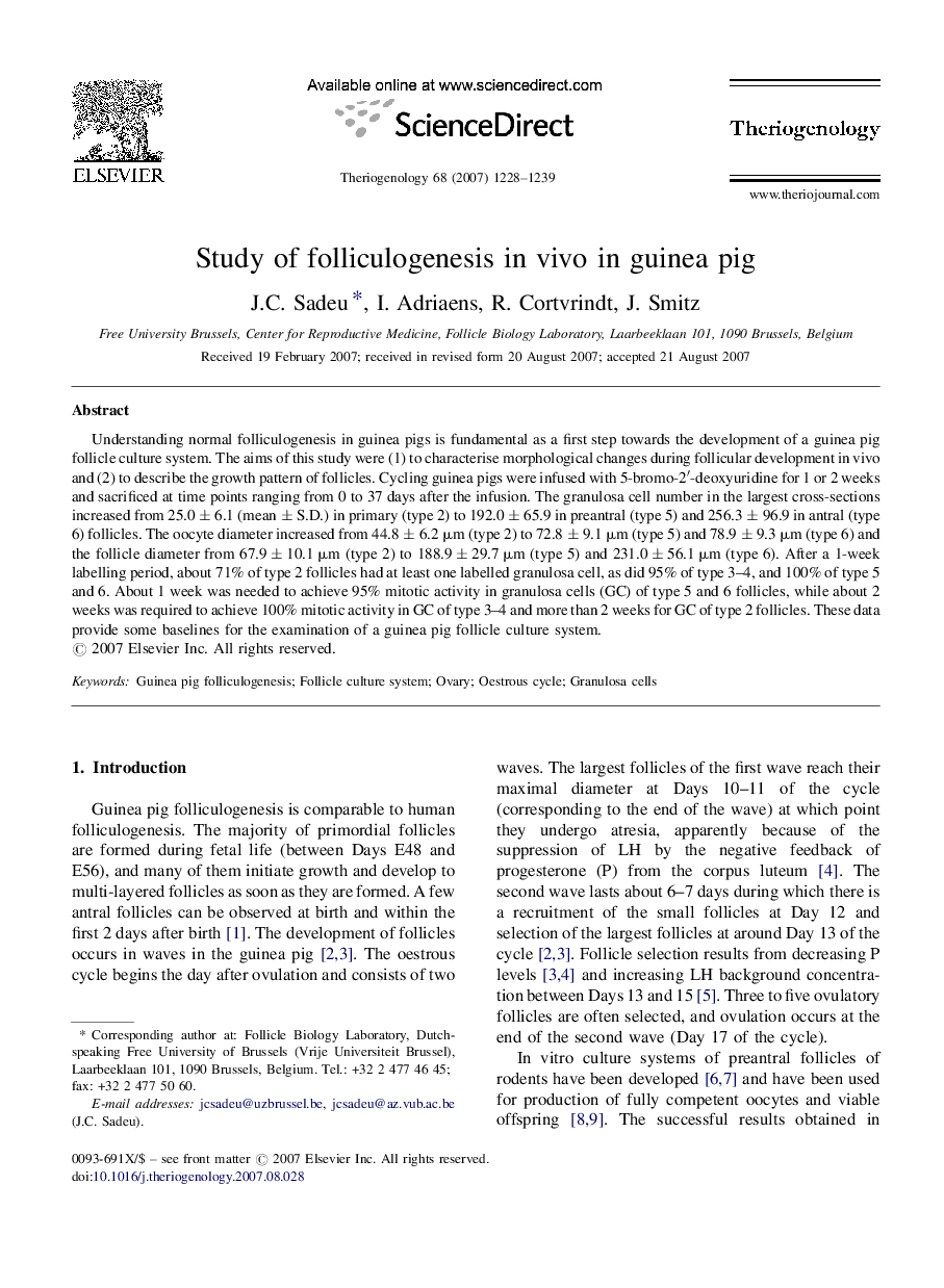 Study of folliculogenesis in vivo in guinea pig