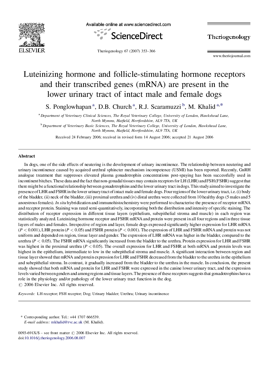 Luteinizing hormone and follicle-stimulating hormone receptors and their transcribed genes (mRNA) are present in the lower urinary tract of intact male and female dogs