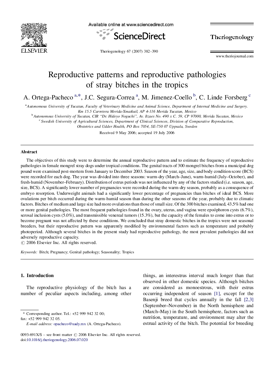 Reproductive patterns and reproductive pathologies of stray bitches in the tropics