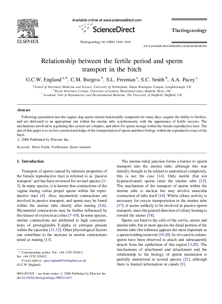 Relationship between the fertile period and sperm transport in the bitch