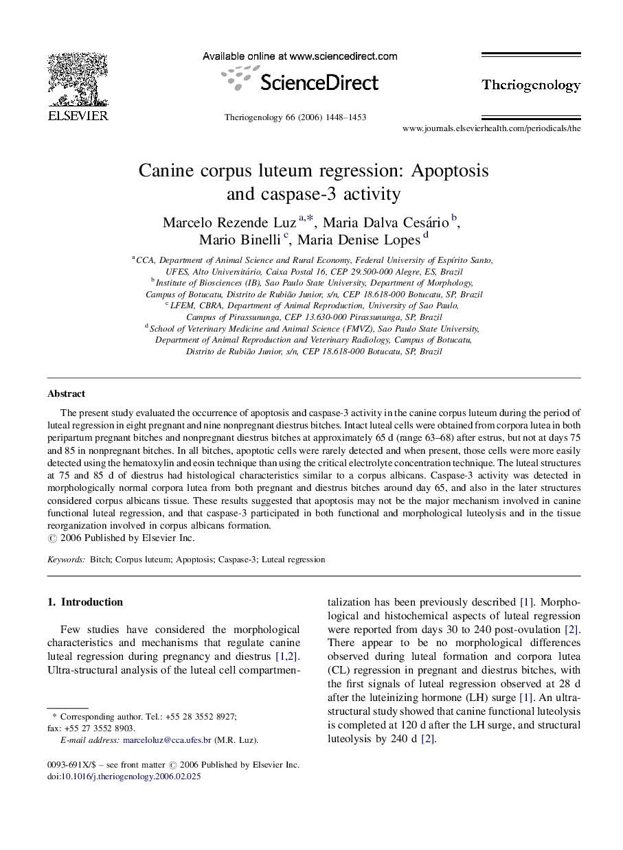 Canine corpus luteum regression: Apoptosis and caspase-3 activity