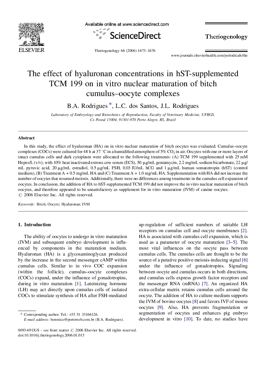 The effect of hyaluronan concentrations in hST-supplemented TCM 199 on in vitro nuclear maturation of bitch cumulus–oocyte complexes