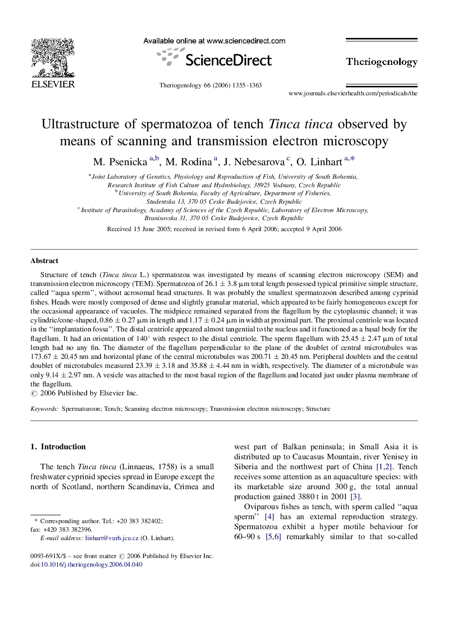 Ultrastructure of spermatozoa of tench Tinca tinca observed by means of scanning and transmission electron microscopy