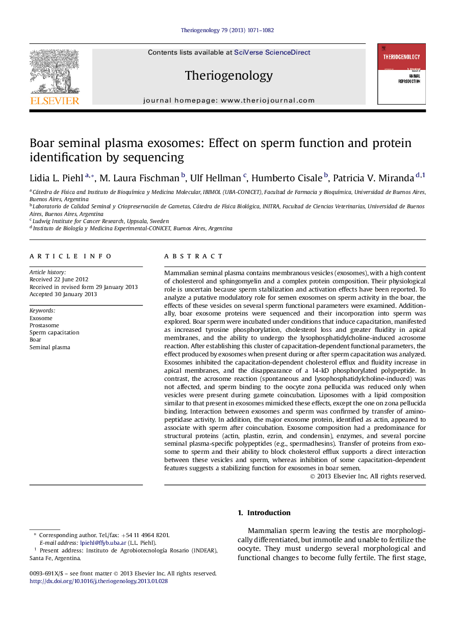 Boar seminal plasma exosomes: Effect on sperm function and protein identification by sequencing