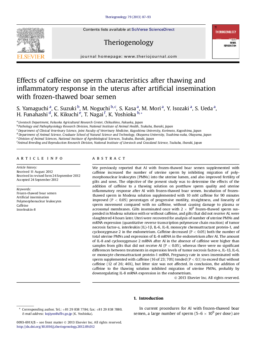 Effects of caffeine on sperm characteristics after thawing and inflammatory response in the uterus after artificial insemination with frozen-thawed boar semen