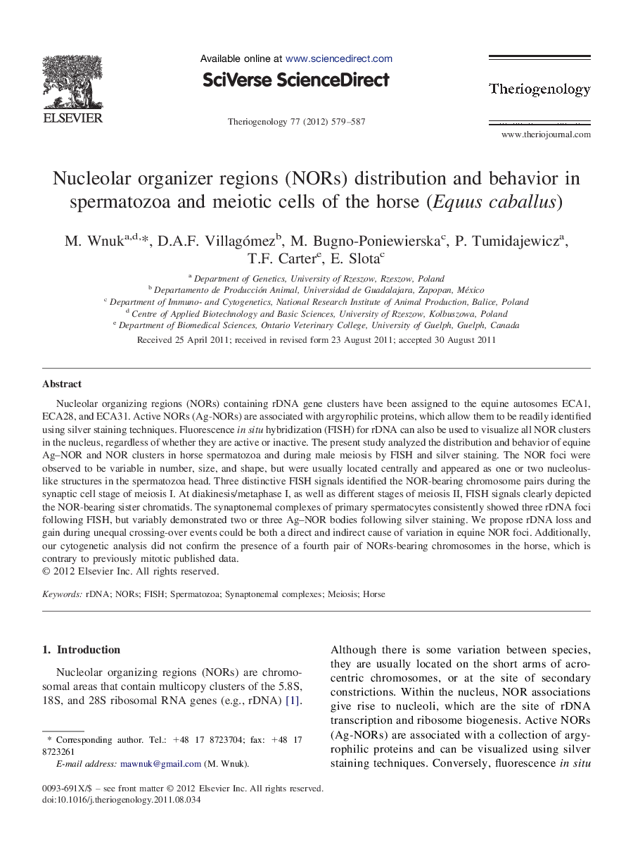 Nucleolar organizer regions (NORs) distribution and behavior in spermatozoa and meiotic cells of the horse (Equus caballus)