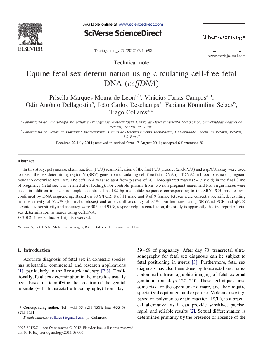 Equine fetal sex determination using circulating cell-free fetal DNA (ccffDNA)