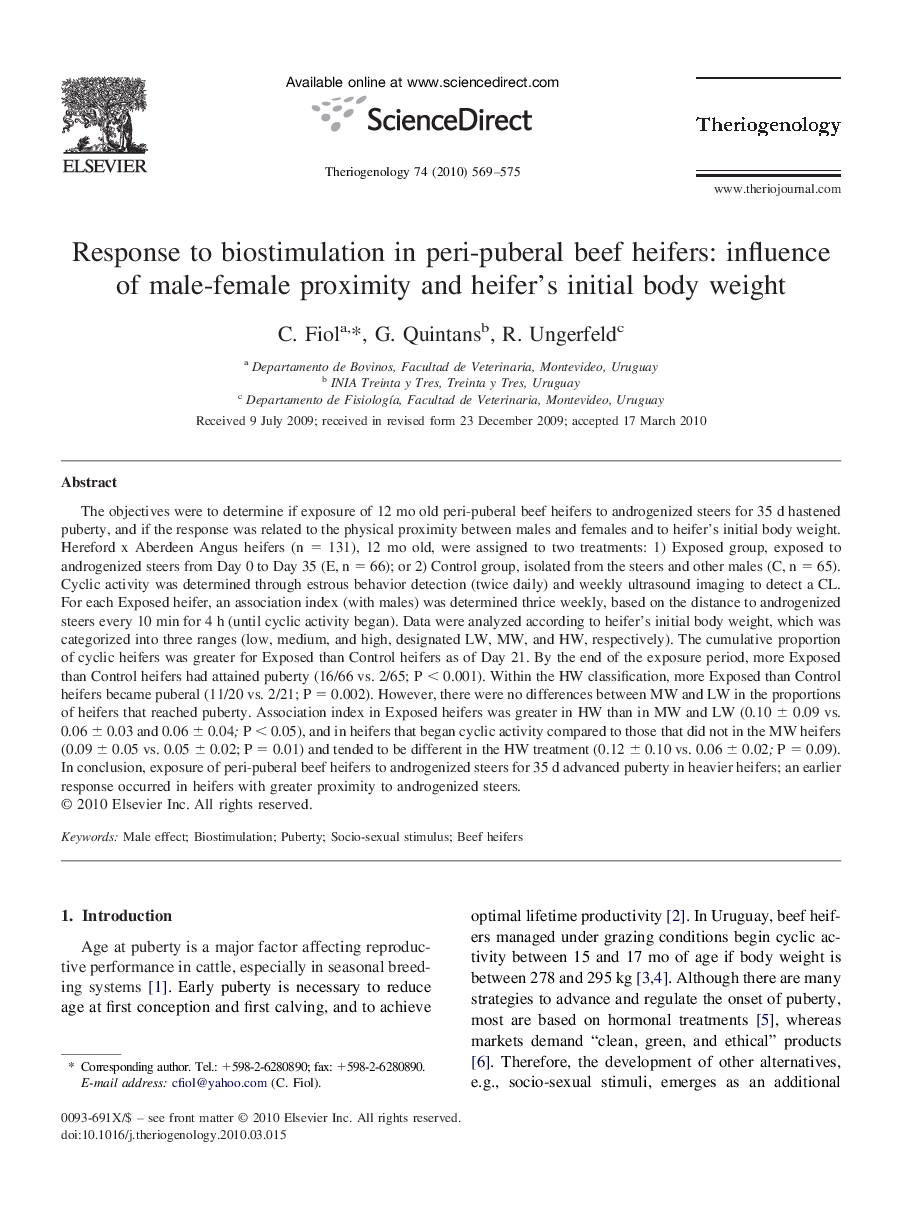 Response to biostimulation in peri-puberal beef heifers: influence of male-female proximity and heifer's initial body weight