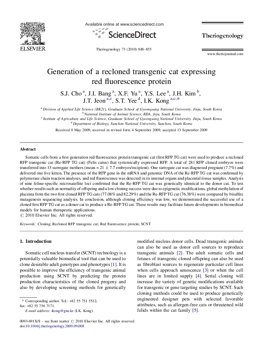 Generation of a recloned transgenic cat expressing red fluorescence protein