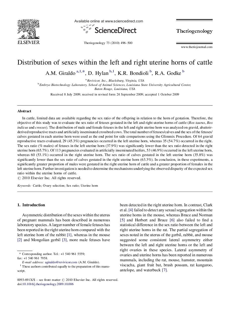 Distribution of sexes within the left and right uterine horns of cattle