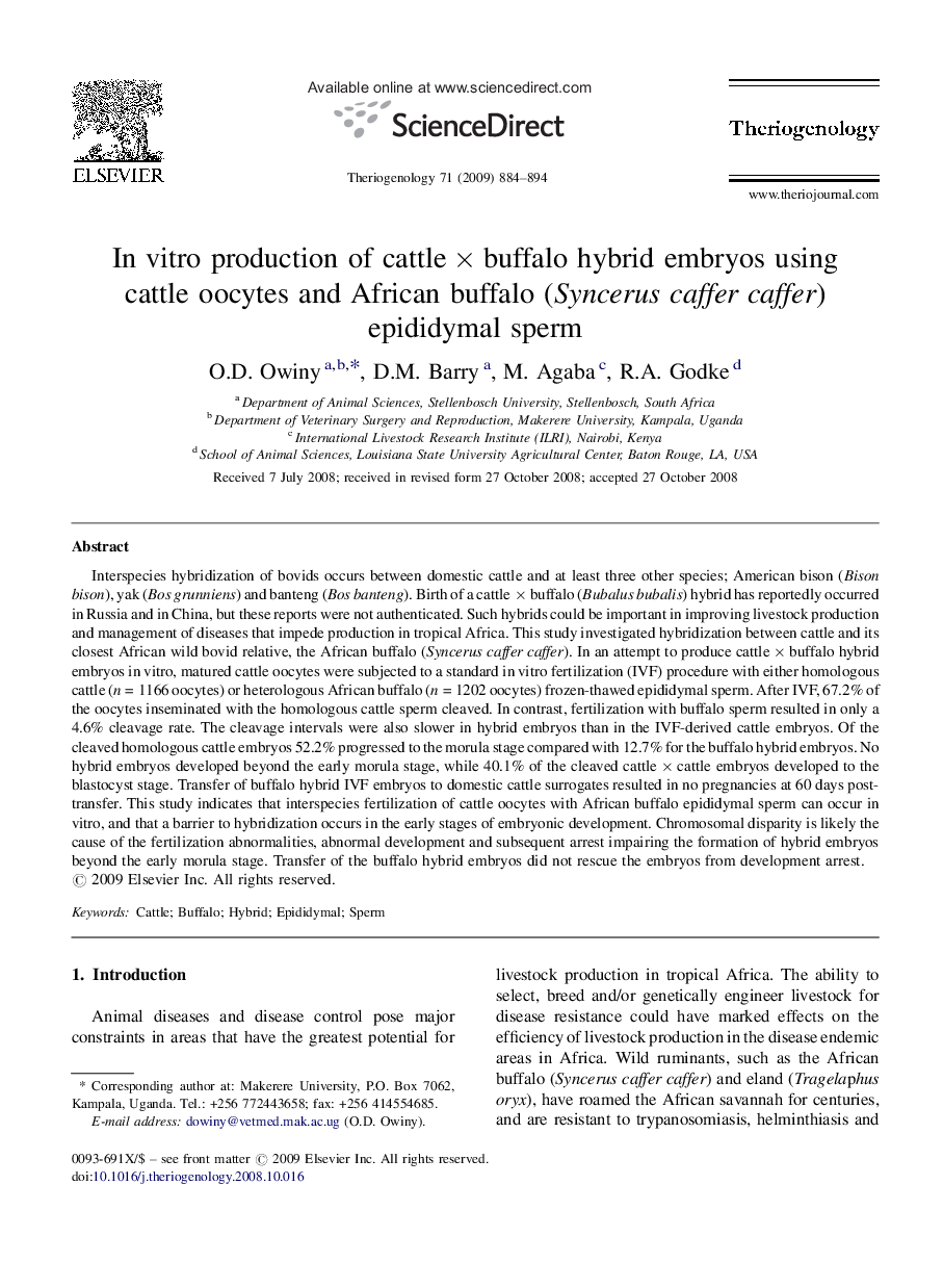 In vitro production of cattle × buffalo hybrid embryos using cattle oocytes and African buffalo (Syncerus caffer caffer) epididymal sperm