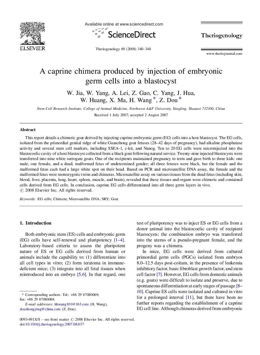 A caprine chimera produced by injection of embryonic germ cells into a blastocyst