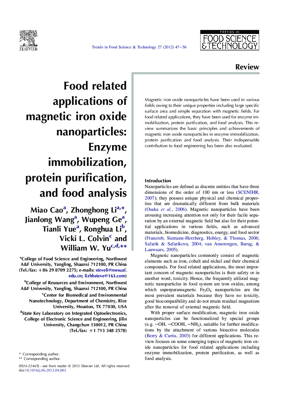 Food related applications of magnetic iron oxide nanoparticles: Enzyme immobilization, protein purification, and food analysis