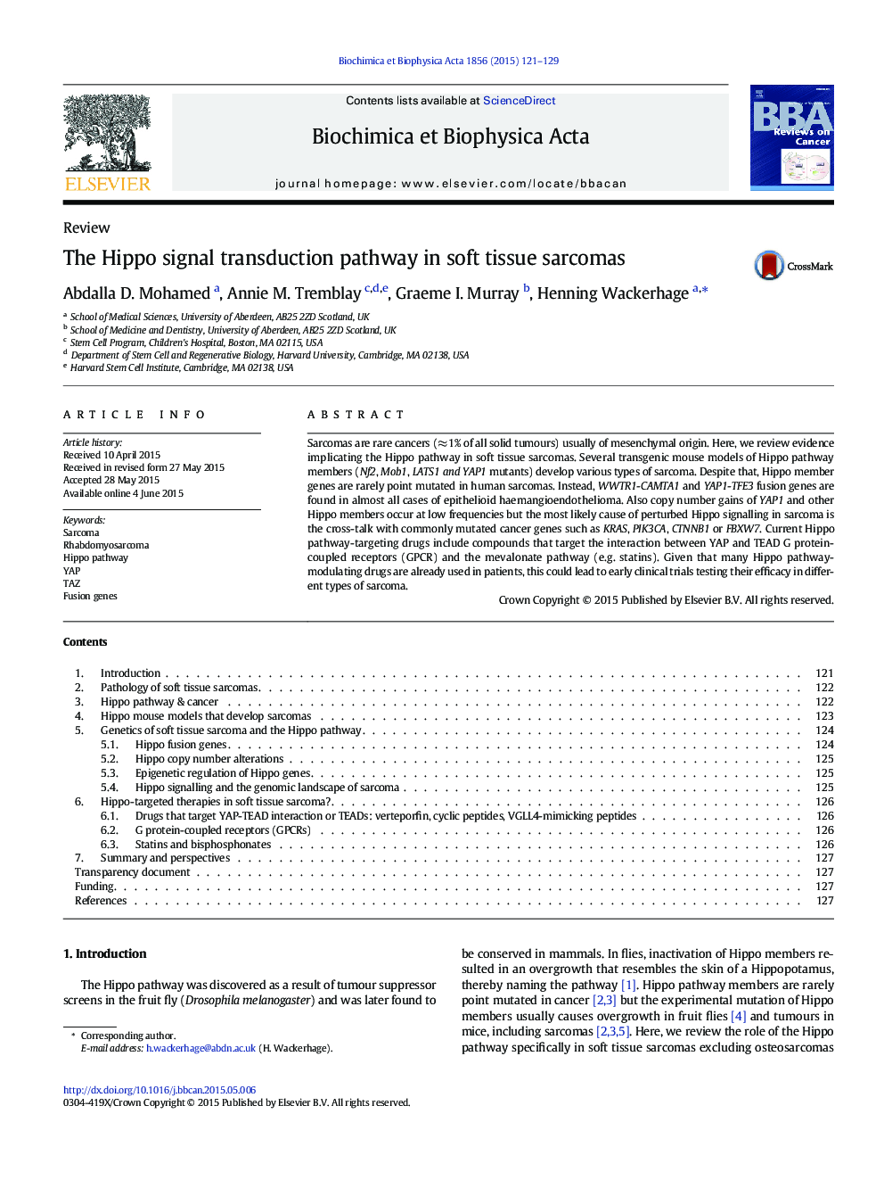 The Hippo signal transduction pathway in soft tissue sarcomas