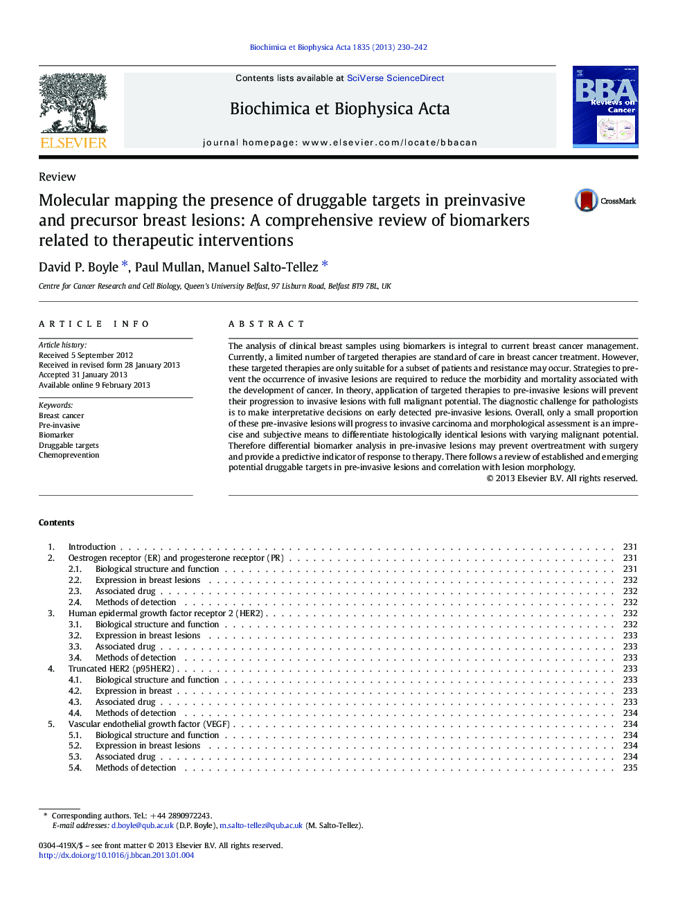Molecular mapping the presence of druggable targets in preinvasive and precursor breast lesions: A comprehensive review of biomarkers related to therapeutic interventions
