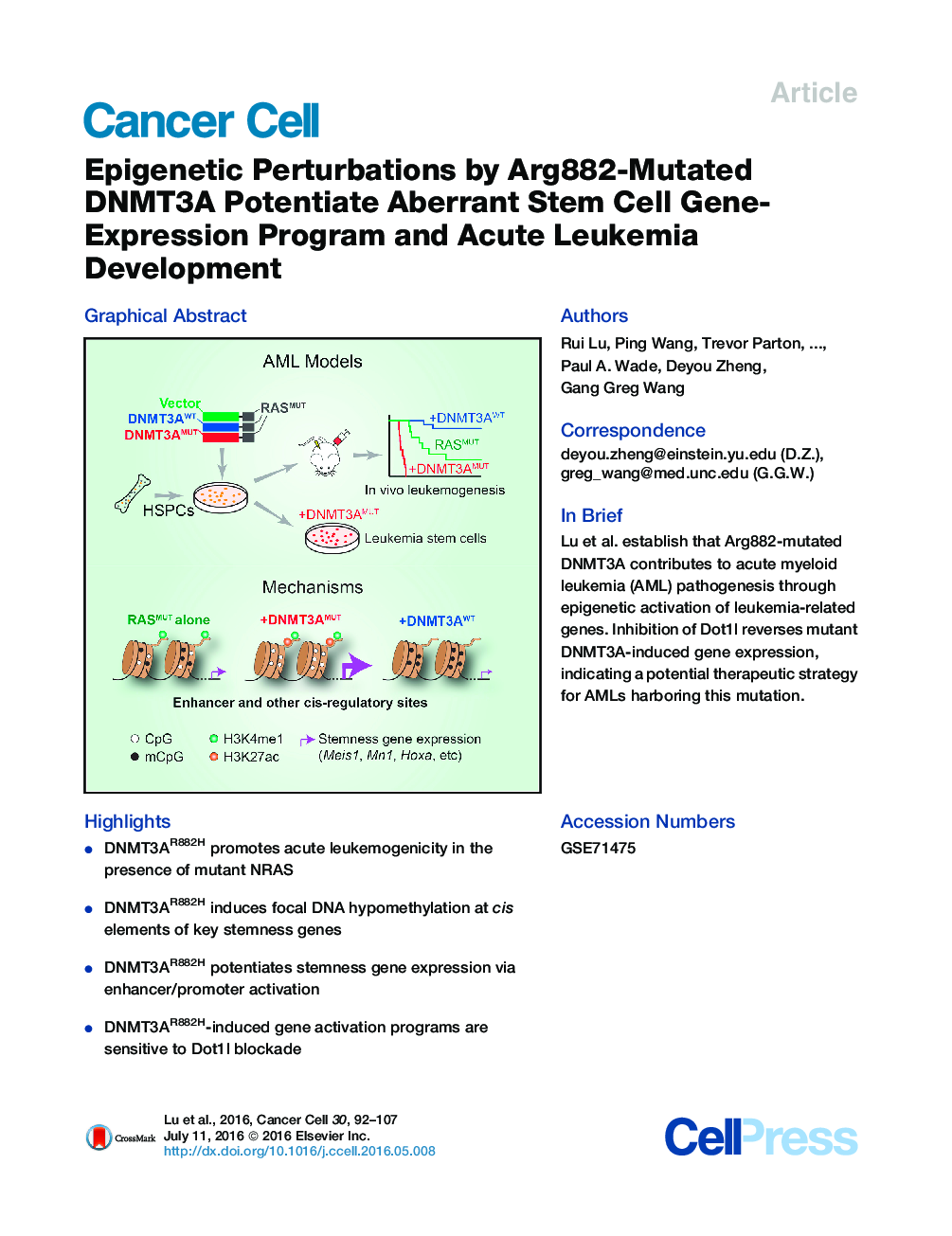 Epigenetic Perturbations by Arg882-Mutated DNMT3A Potentiate Aberrant Stem Cell Gene-Expression Program and Acute Leukemia Development