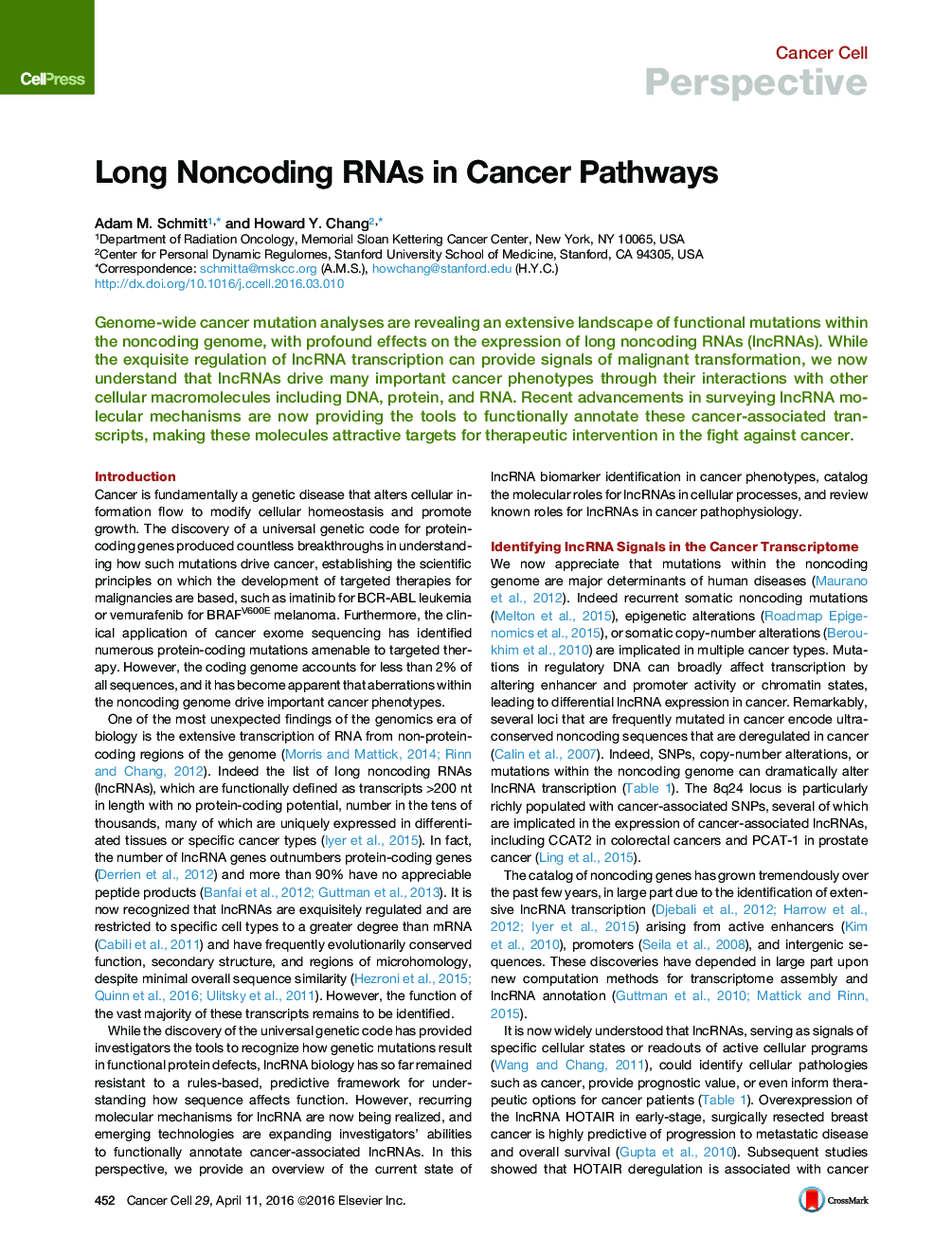 Long Noncoding RNAs in Cancer Pathways